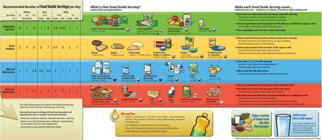 2007 Canada's Food Guide